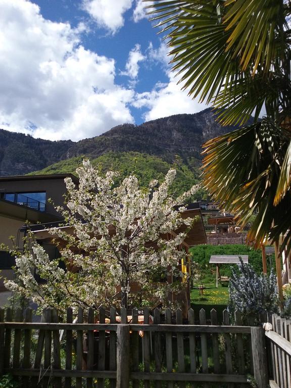 Wiesmuellerhof Caldaro Exterior photo