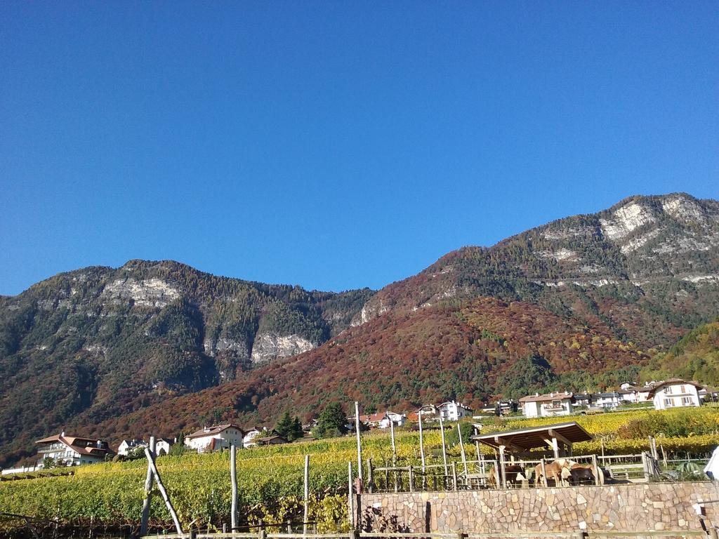 Wiesmuellerhof Caldaro Exterior photo