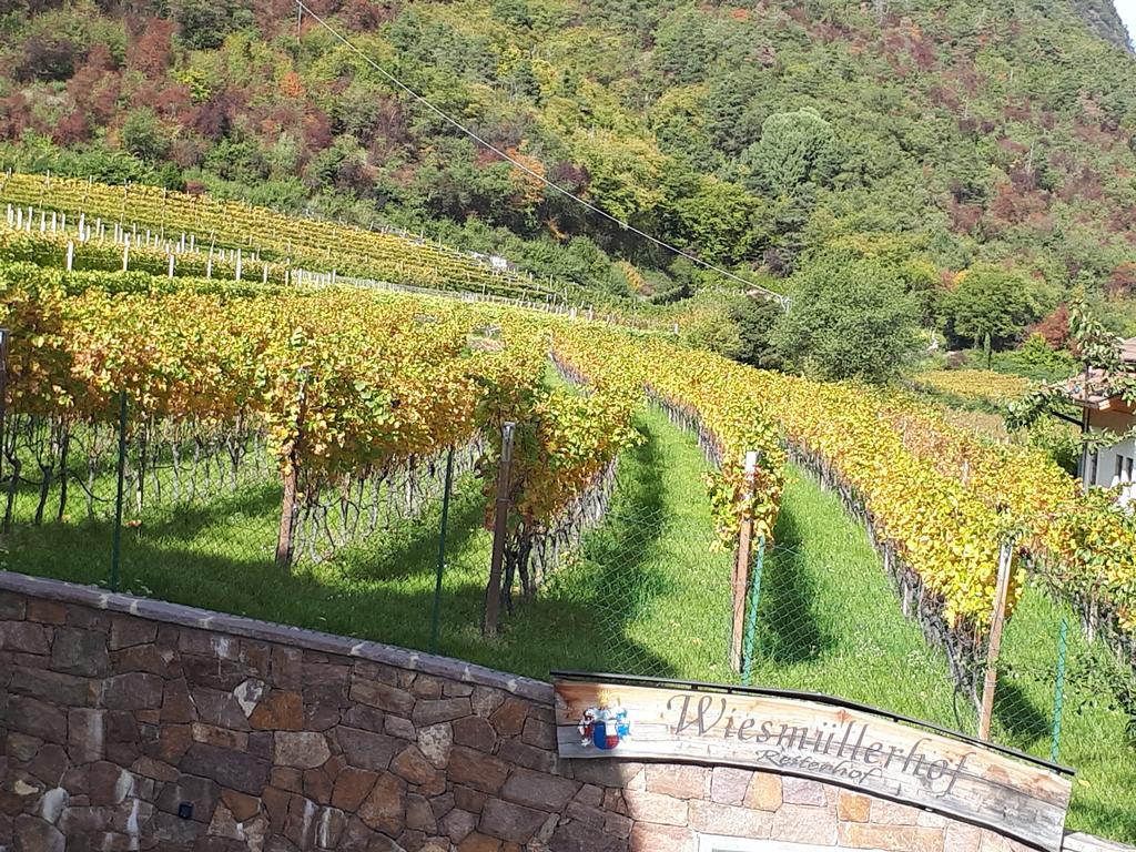 Wiesmuellerhof Caldaro Exterior photo